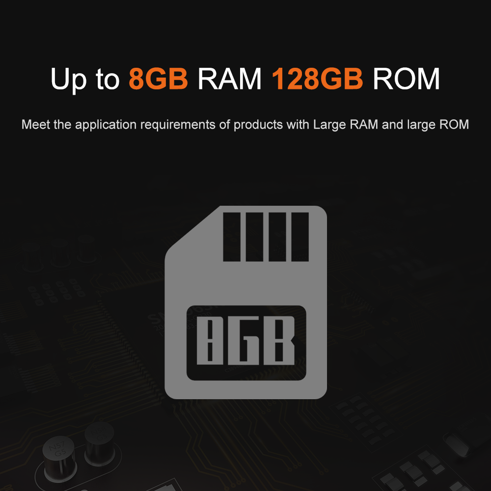 Liontron RK3566 DDR4 8GB RAM A - Open Vending Machine review and price